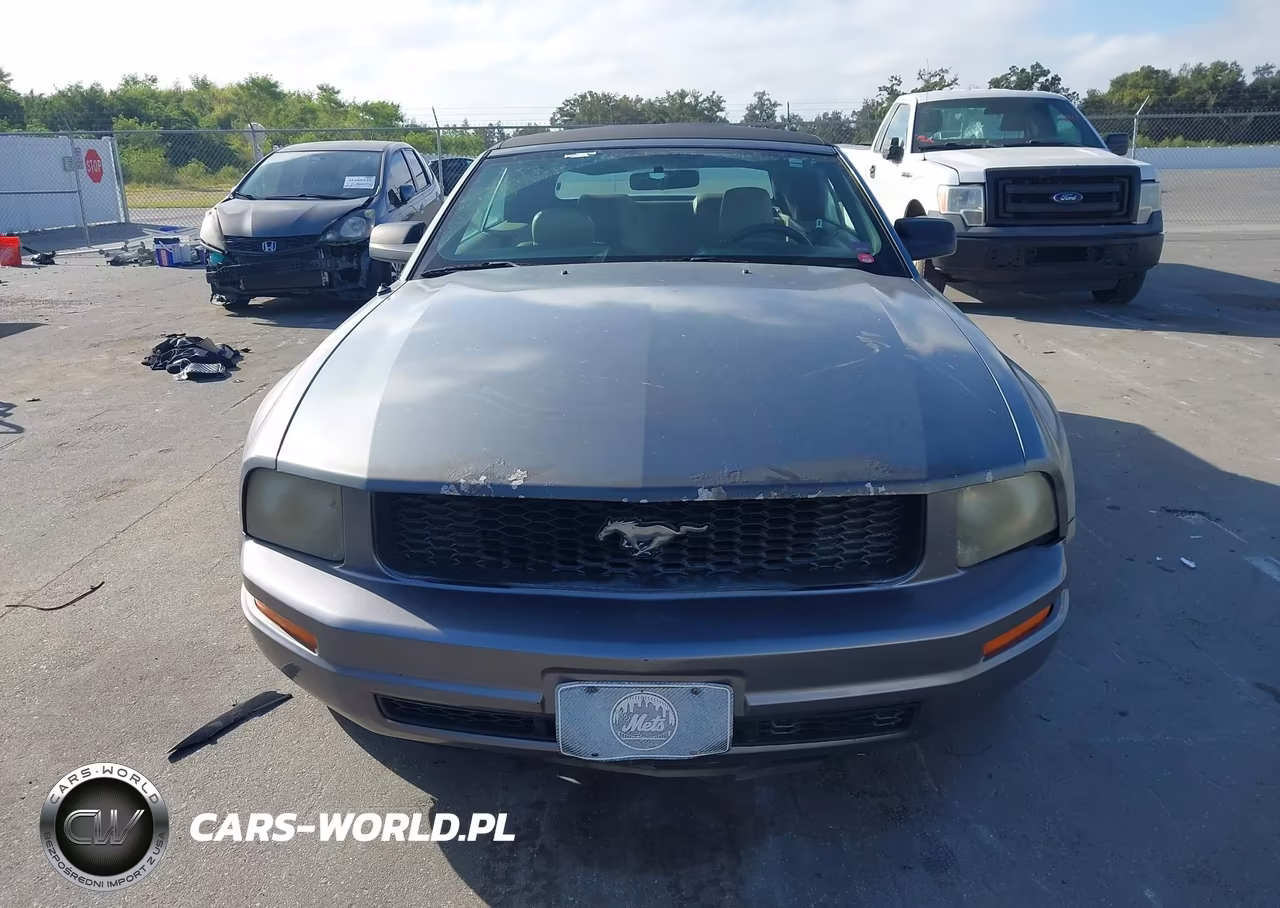 2007 Ford Mustang V6 Deluxe-V6 Premium VIN:1ZVFT84N675262069 - 6
