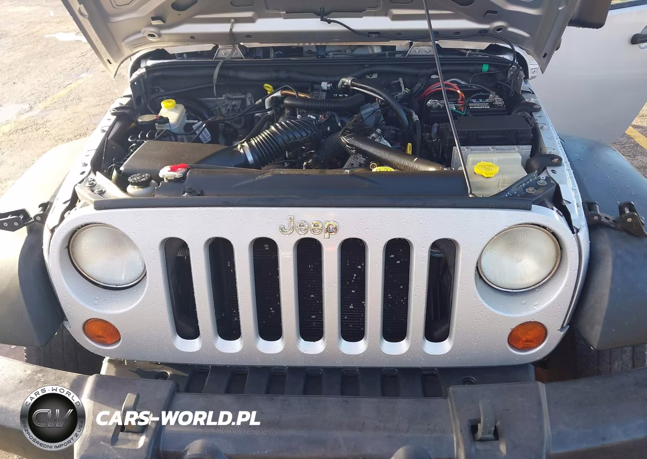 2010 Jeep Wrangler Unlimited Sport Rhd VIN:1J4BZ3H19AL213715 - 10